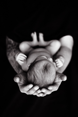 Newborn Fotografie Beispiel